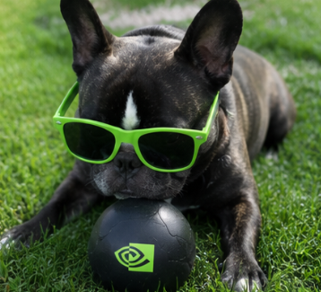 NVIDIA DOG with a ball