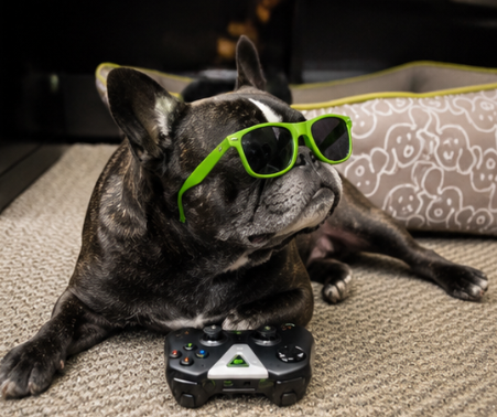NVIDIA DOG with a controller