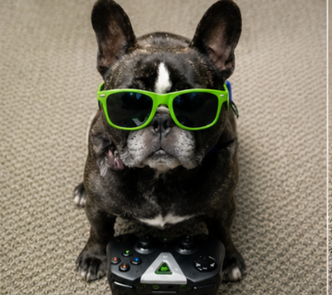 NVIDIA DOG at the controls