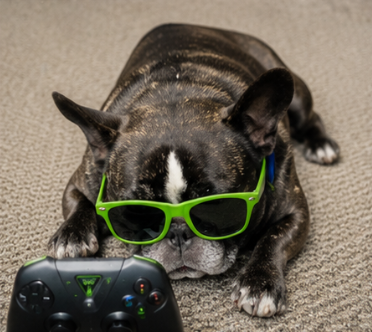 NVIDIA DOG focused on gaming