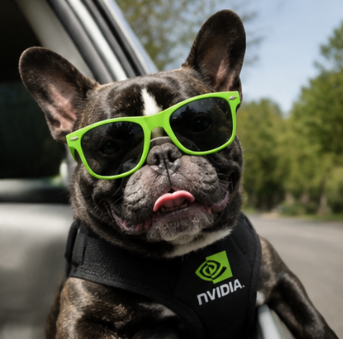 NVIDIA DOG on the road